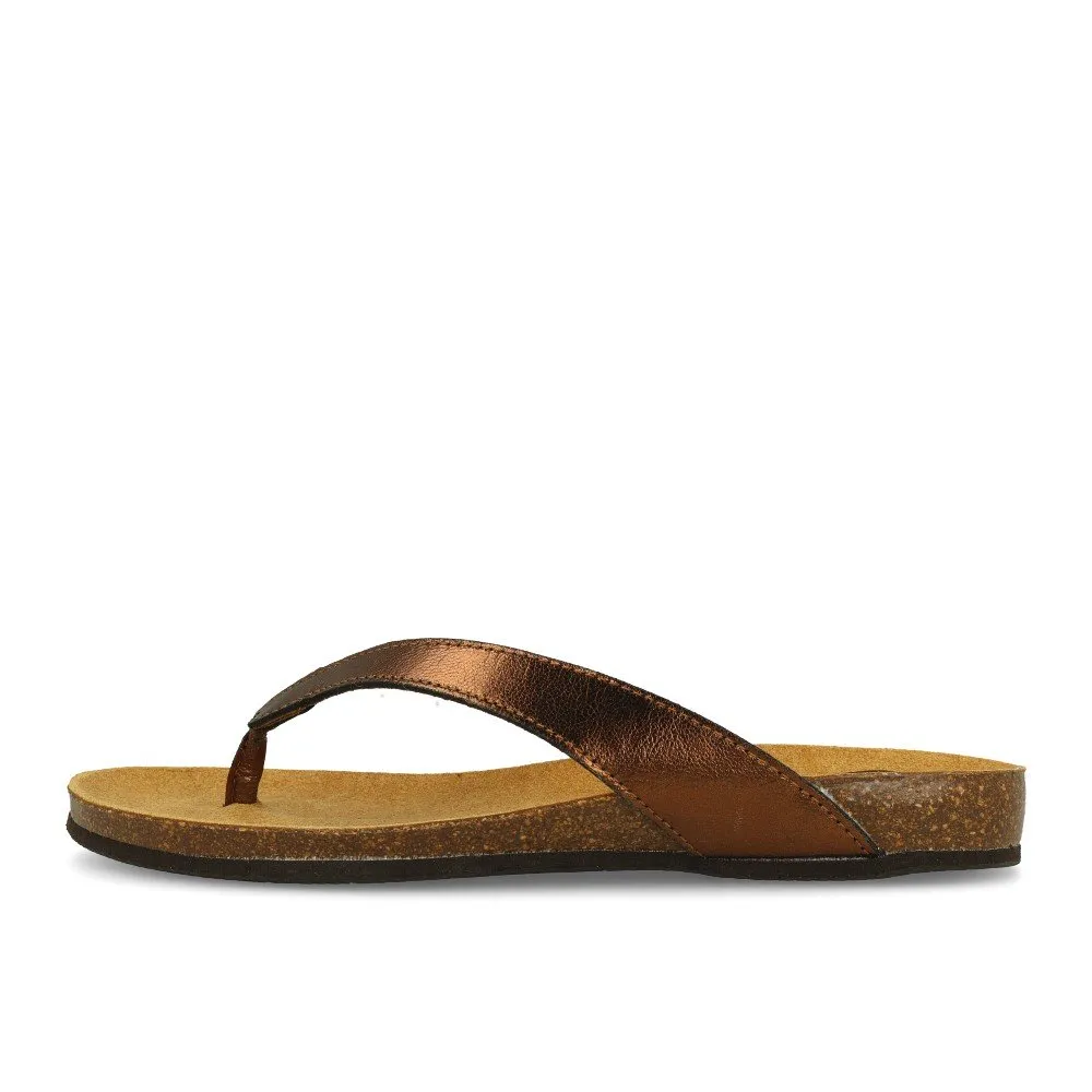 Scholl Tistois Bronze